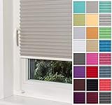 Home-Vision® Premium Plissee Faltrollo ohne Bohren mit Klemmträger / -fix (Grau, B35cm x H100cm) Blickdicht Sonnenschutz Jalousie für Fenster & Tür